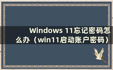 Windows 11忘记密码怎么办（win11启动账户密码）